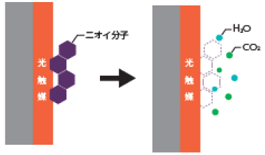 消臭・空気浄化